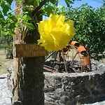 Casa Palmeiras-pedagogic Farm *