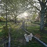 Casa Palmeiras-pedagogic Farm Vakantieboerderij *