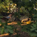Casa Palmeiras-pedagogic Farm * Mangualde