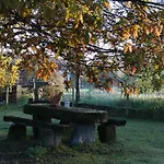 Vakantieboerderij Casa Palmeiras-pedagogic Farm Mangualde