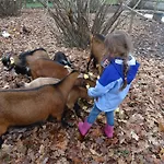 Casa Palmeiras-pedagogic Farm Vakantieboerderij Mangualde