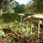Casa Palmeiras-pedagogic Farm Vakantieboerderij *
