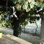 Casa Palmeiras-pedagogic Farm