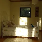 Vakantieboerderij Casa Palmeiras-pedagogic Farm *