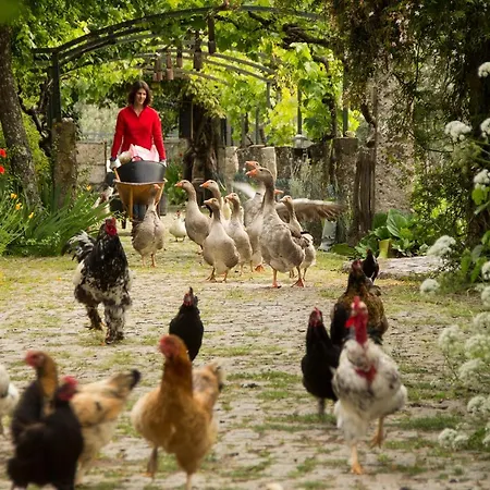 Çiftlik konaklama Casa Palmeiras-pedagogic Farm *