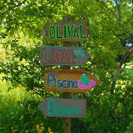 Casa Palmeiras-pedagogic Farm