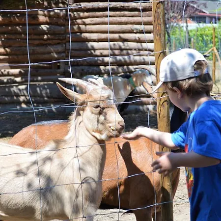Casa Palmeiras-pedagogic Farm Çiftlik konaklama Mangualde