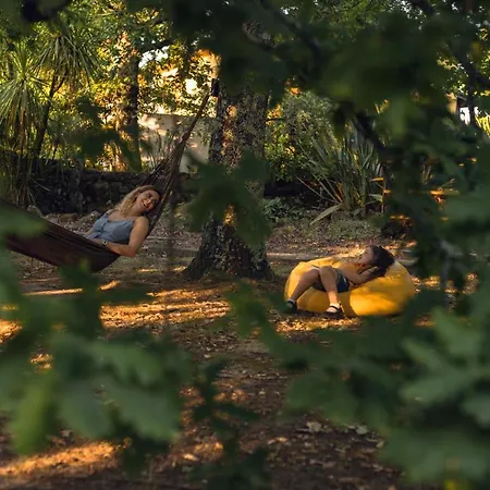 Casa Palmeiras-pedagogic Farm * Mangualde