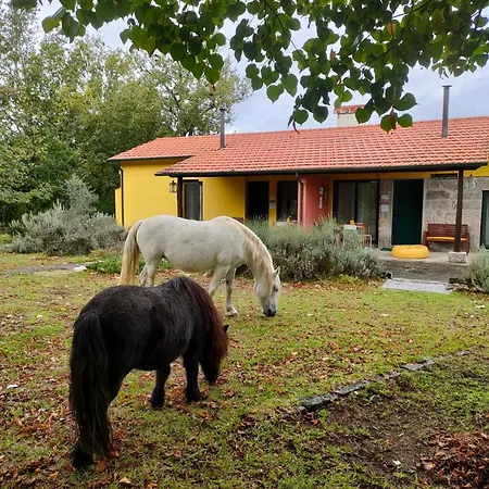 Vakantieboerderij Casa Palmeiras-pedagogic Farm *