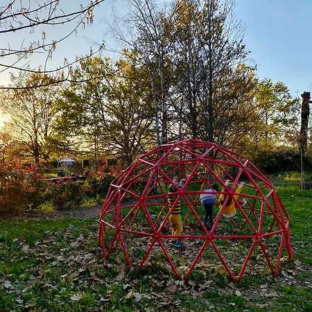 Casa Palmeiras-pedagogic Farm Feriegård Mangualde