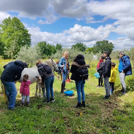 Casa Palmeiras-pedagogic Farm *