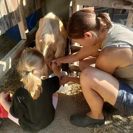 Casa Palmeiras-pedagogic Farm * Mangualde