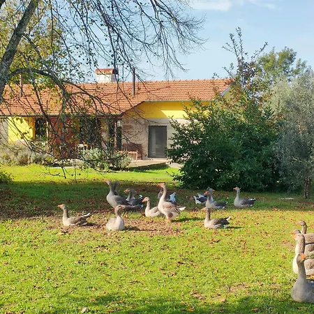 Vakantieboerderij Casa Palmeiras-pedagogic Farm *