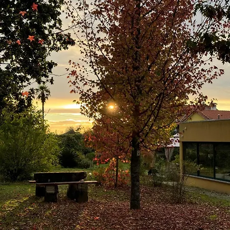 Casa Palmeiras-pedagogic Farm * Mangualde