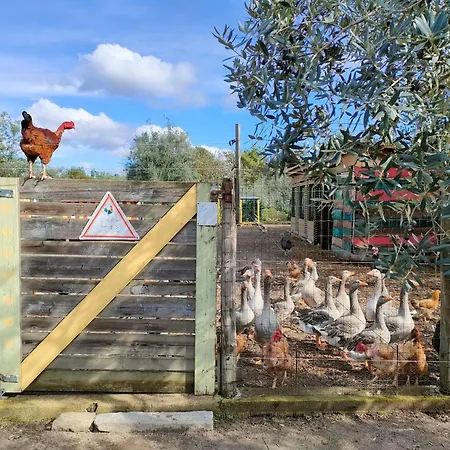 Casa Palmeiras-pedagogic Farm Vakantieboerderij Mangualde