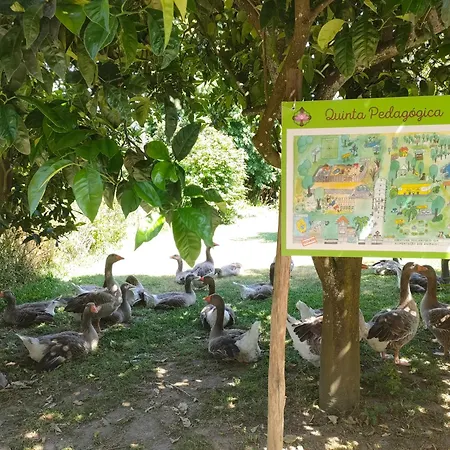 Casa Palmeiras-pedagogic Farm * Mangualde