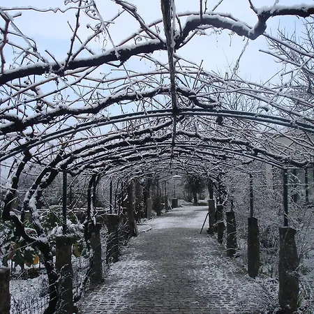 Casa Palmeiras-pedagogic Farm *