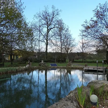 Casa Palmeiras-pedagogic Farm