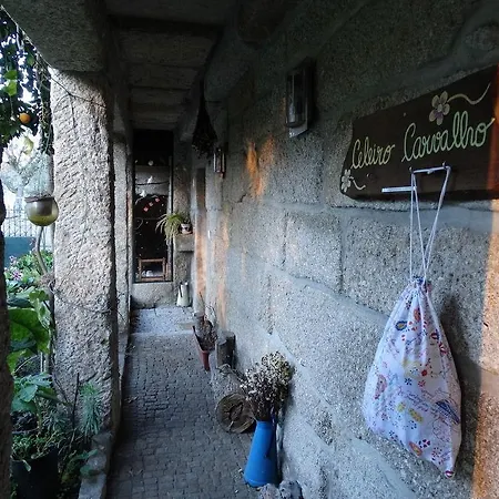 Casa Palmeiras-pedagogic Farm *