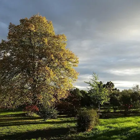 Feriegård Casa Palmeiras-pedagogic Farm