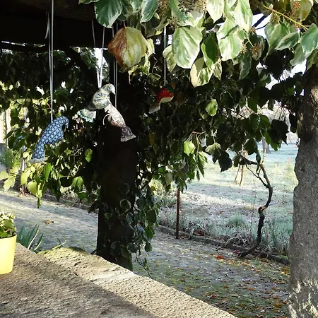 Casa Palmeiras-pedagogic Farm