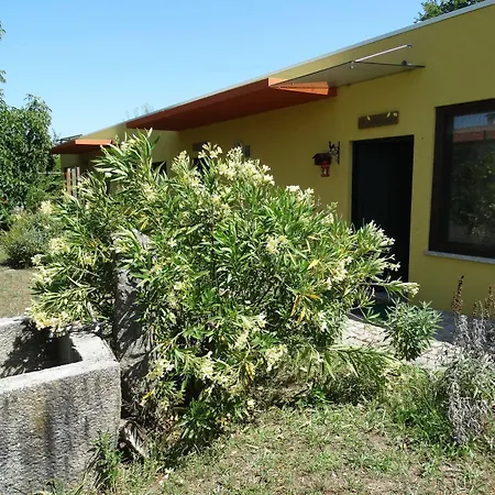 Casa Palmeiras-pedagogic Farm Mangualde