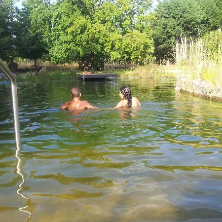 Farm stay Casa Das Palmeiras Mangualde