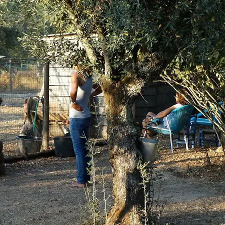Casa Palmeiras-pedagogic Farm Alloggio per agriturismo *