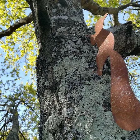 مزرعة للإقامة Casa Palmeiras-pedagogic Farm مانغوالدي