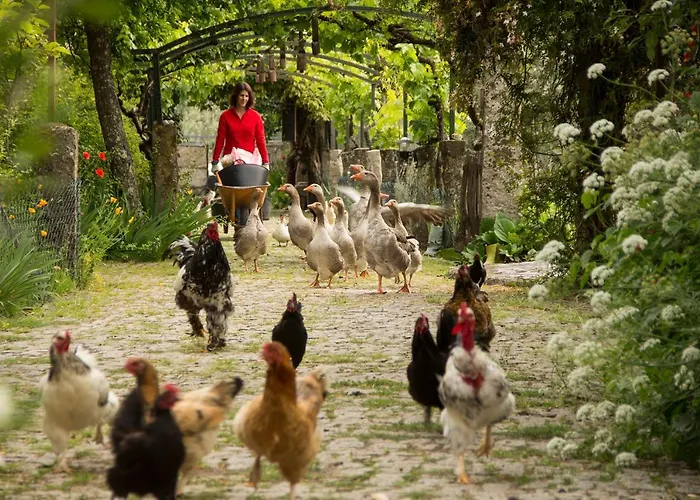 בית חווה Casa Palmeiras-pedagogic Farm *