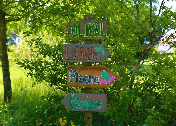 Casa Palmeiras-pedagogic Farm