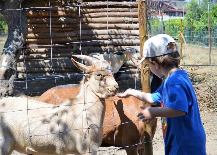 Casa Palmeiras-pedagogic Farm בית חווה מנגולדה