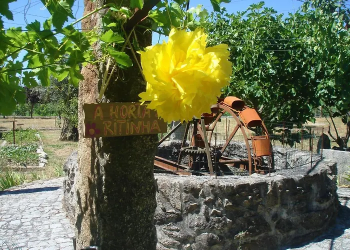 Casa Palmeiras-pedagogic Farm *