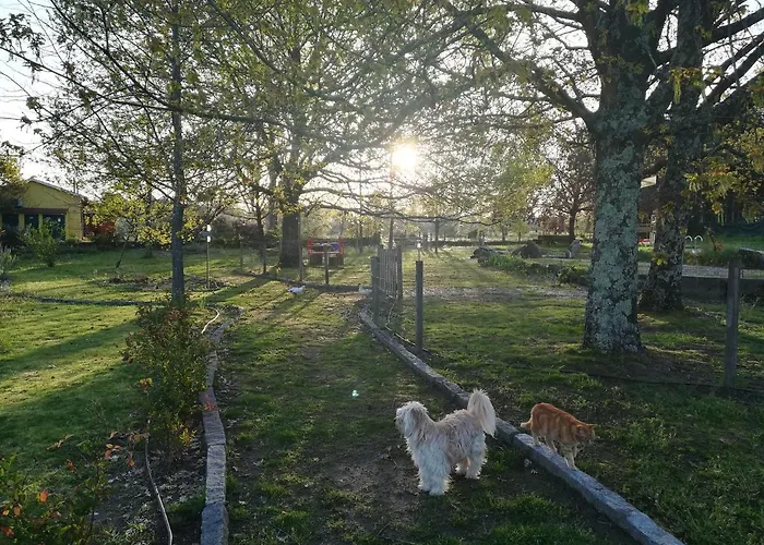 Casa Palmeiras-pedagogic Farm Vakantieboerderij *