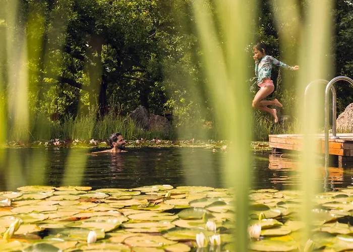 Casa Palmeiras-pedagogic Farm