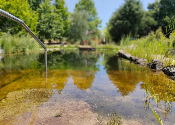 Casa Palmeiras-pedagogic Farm Vakantieboerderij Mangualde