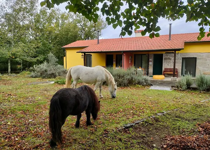 Vakantieboerderij Casa Palmeiras-pedagogic Farm *