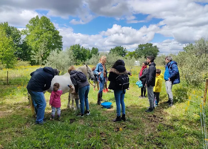 Casa Palmeiras-pedagogic Farm *