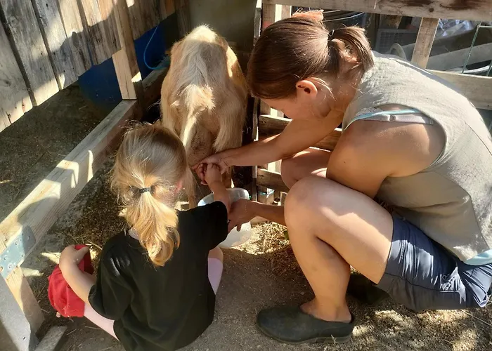 Casa Palmeiras-pedagogic Farm * Mangualde