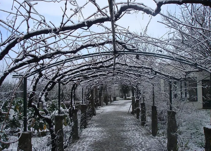 Casa Palmeiras-pedagogic Farm *