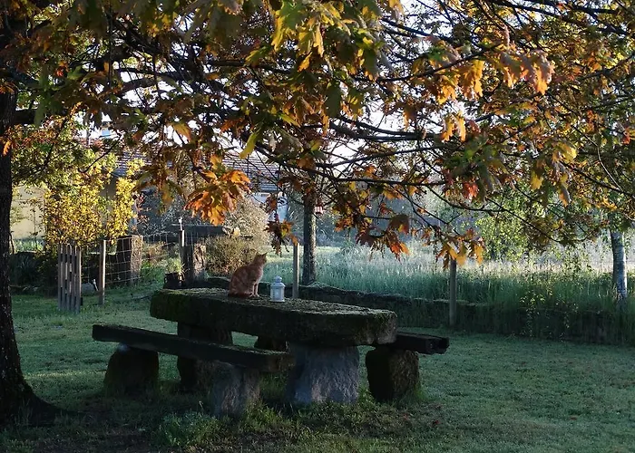 Vakantieboerderij Casa Palmeiras-pedagogic Farm Mangualde
