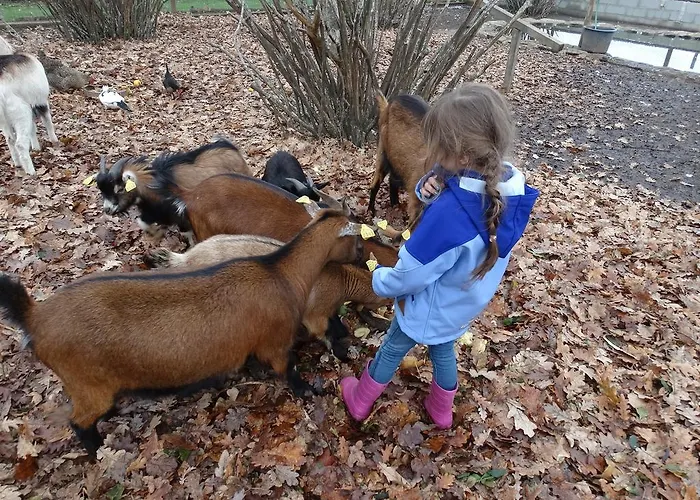 Casa Palmeiras-pedagogic Farm בית חווה מנגולדה