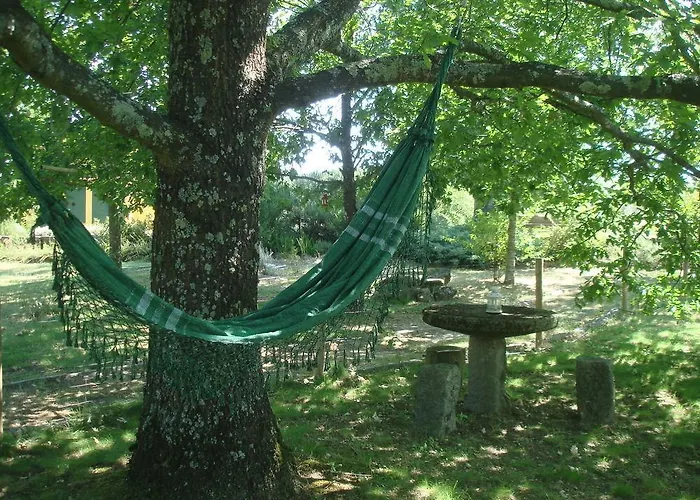 Vakantieboerderij Casa Palmeiras-pedagogic Farm