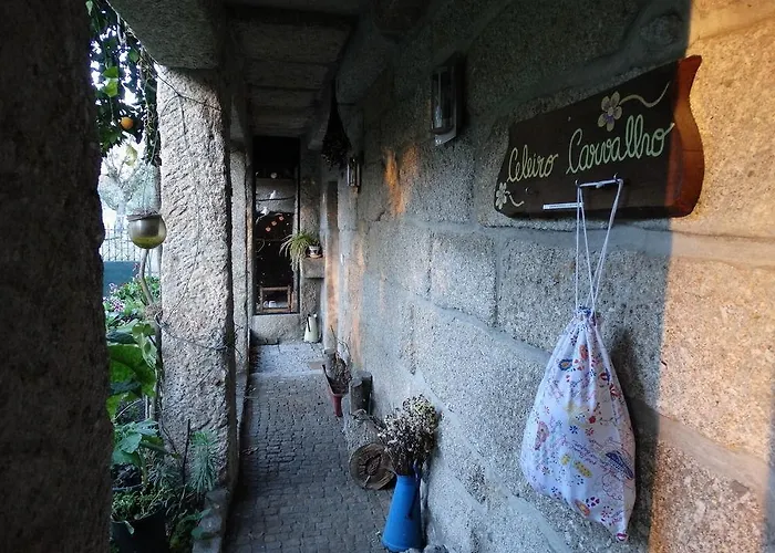 Casa Palmeiras-pedagogic Farm *