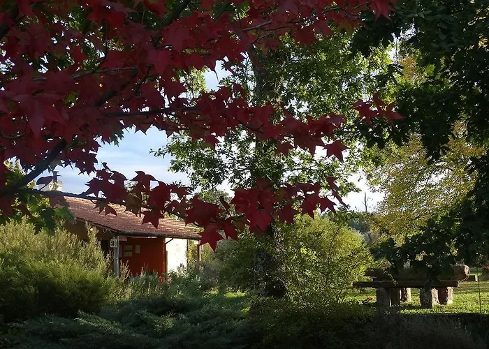 Casa Palmeiras-pedagogic Farm Vakantieboerderij *