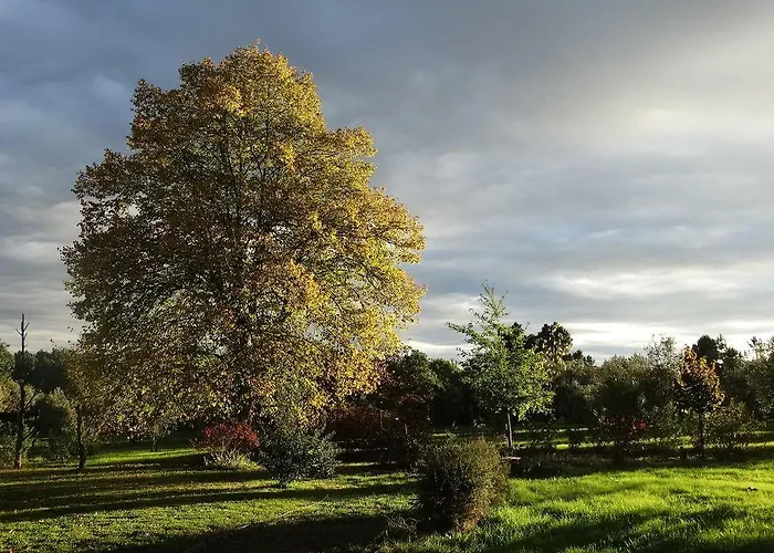 בית חווה Casa Palmeiras-pedagogic Farm