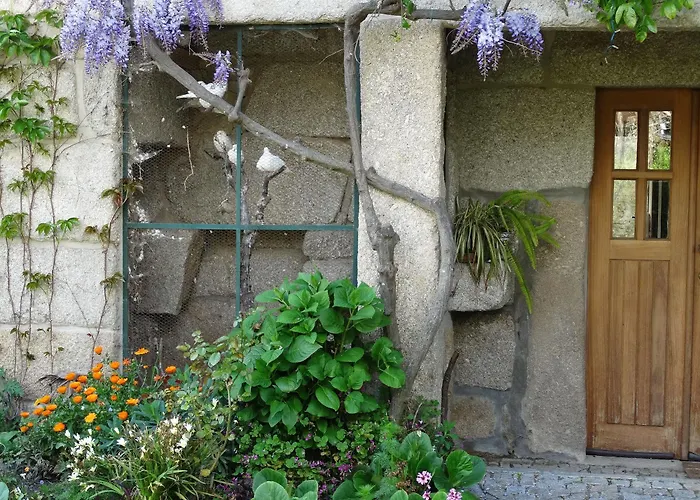 Casa Palmeiras-pedagogic Farm * Mangualde