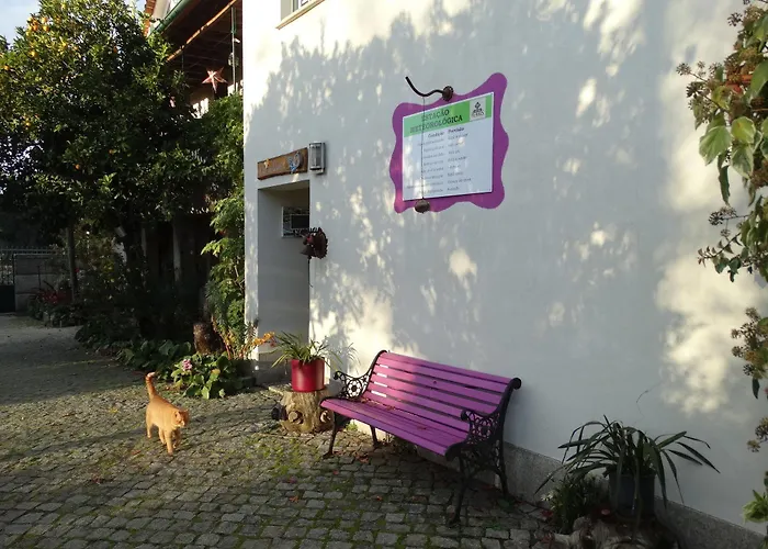 Casa Palmeiras-pedagogic Farm