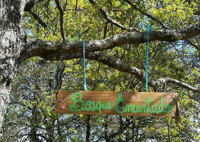 Casa Palmeiras-pedagogic Farm